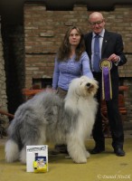 /album/galanta-/galanta-1-jpg/